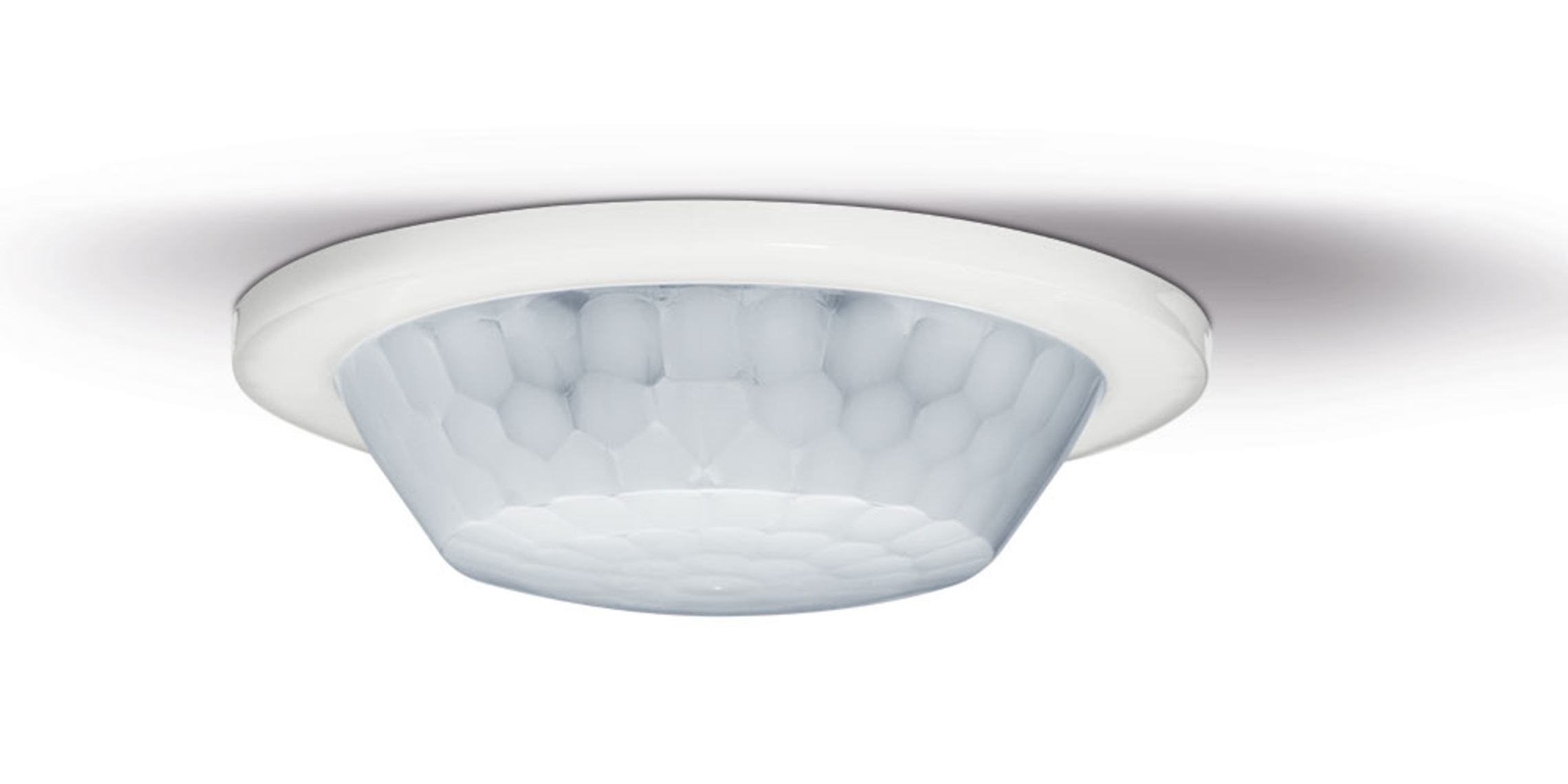 Präsenz- und Bewegungsmelder bei Elektro-Wiesener MD GmbH in Magdeburg